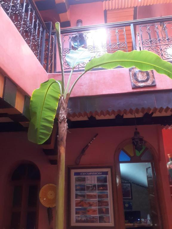Riad Hanafi Marrákes Kültér fotó